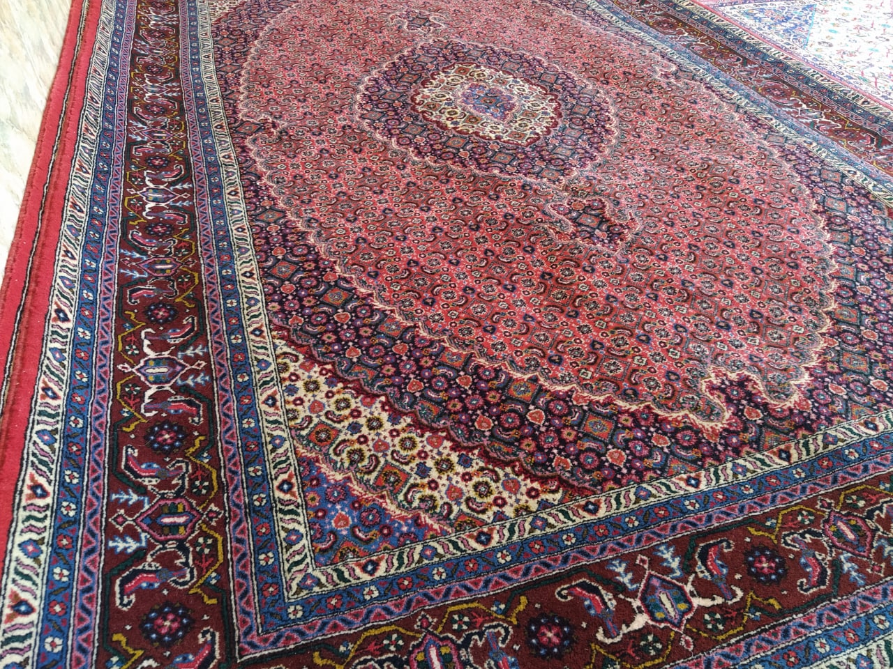 فرش دستباف 6 متری ریزماهی میراشرف دورلچک اردبیل – خرید از گالری فرش شکوری